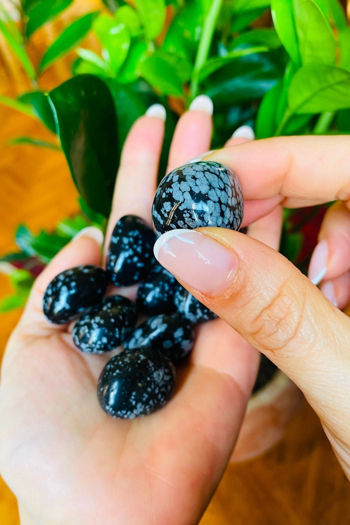 Kar Tanesi Obsidyen Kristali - Dönüşüm - Denge