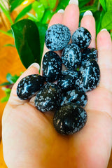 Kar Tanesi Obsidyen Kristali - Dönüşüm - Denge